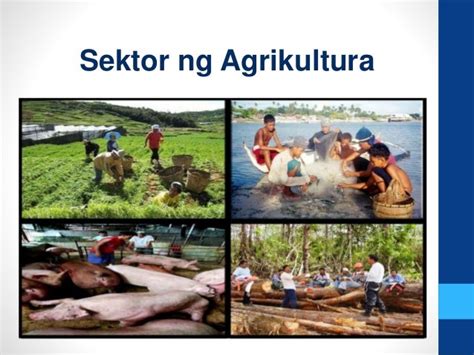 Iba't ibang sektor ng agrikultura .